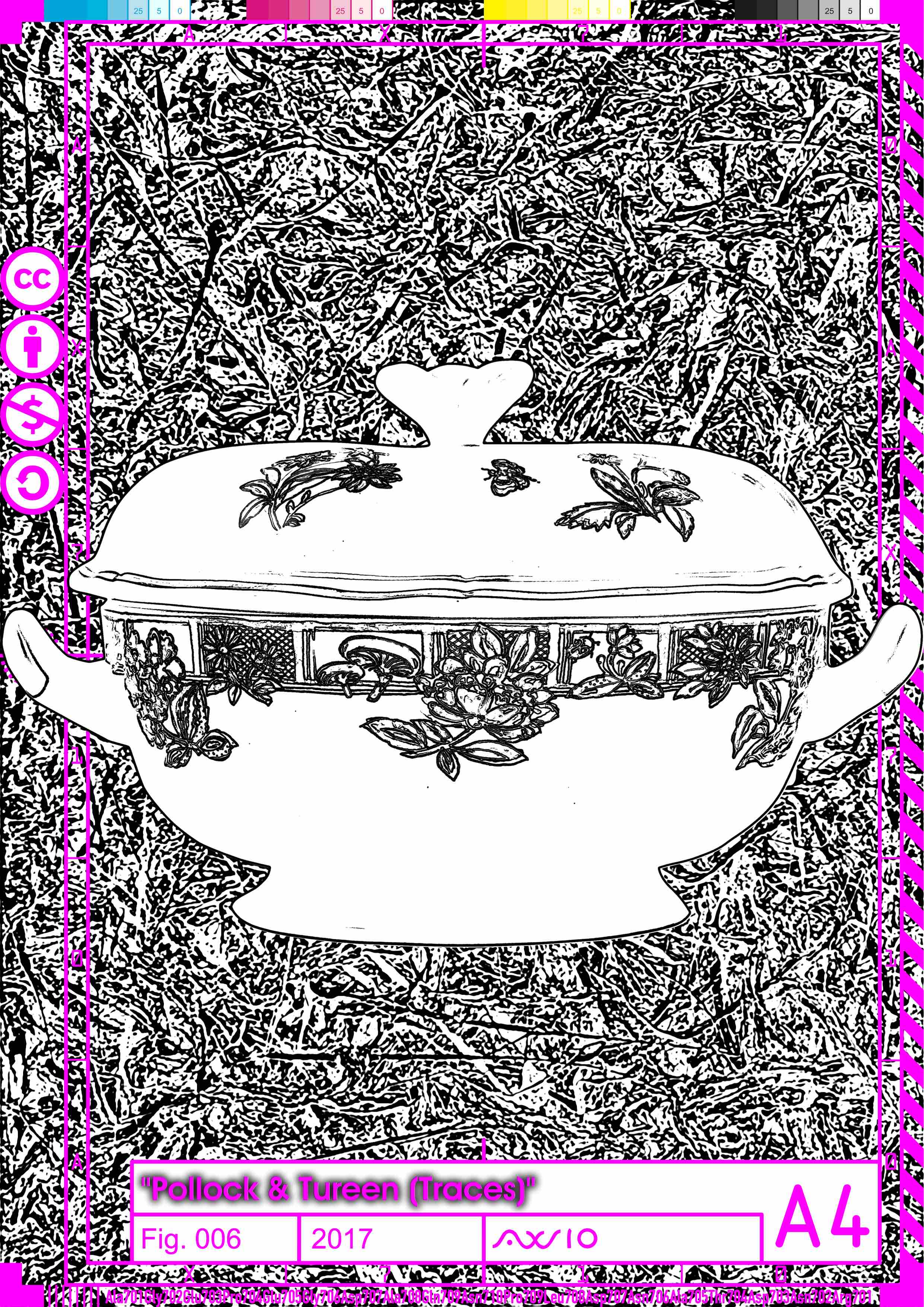 ax710_polturtrace006_2017