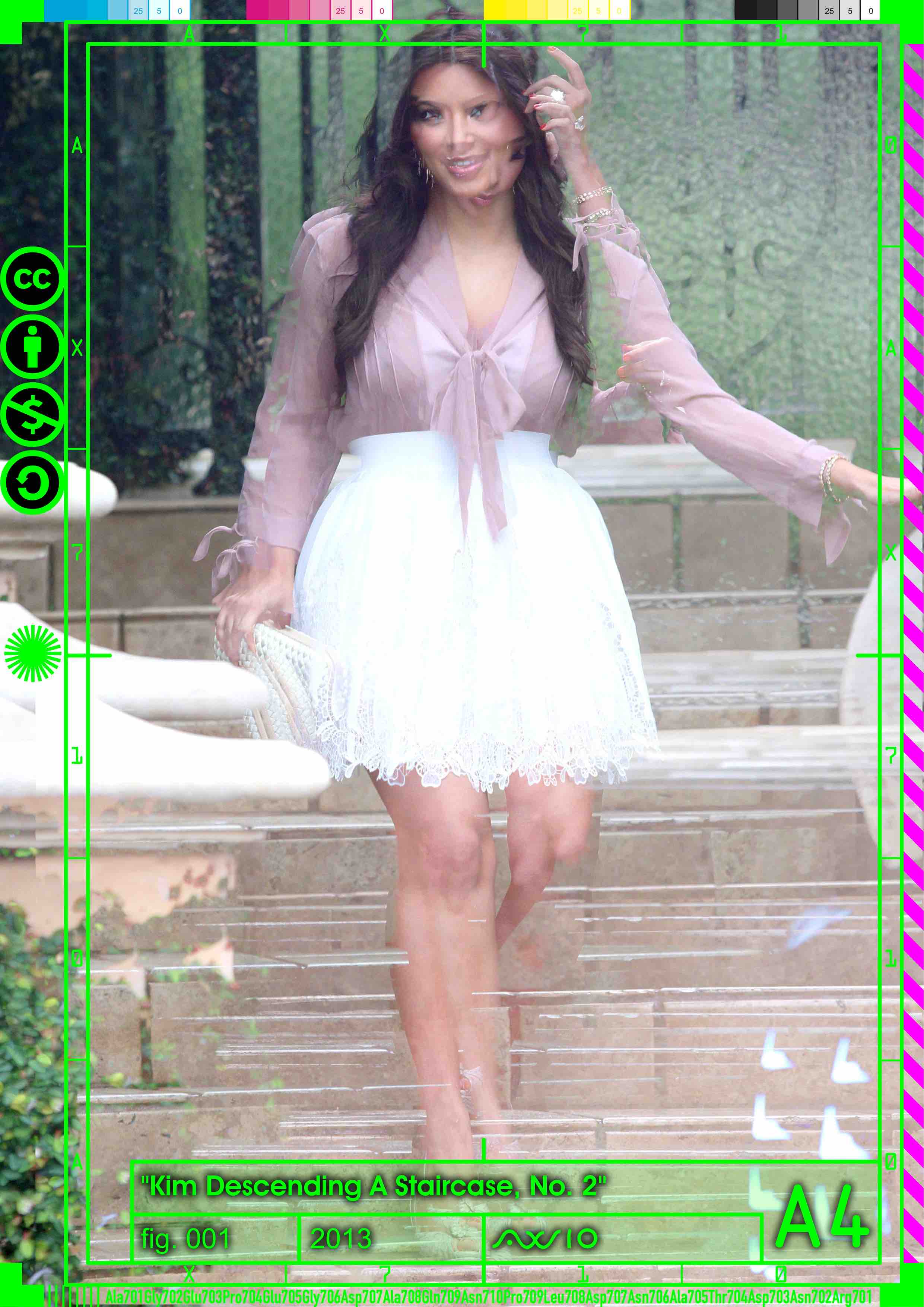 ax710_descendingkim001_2013