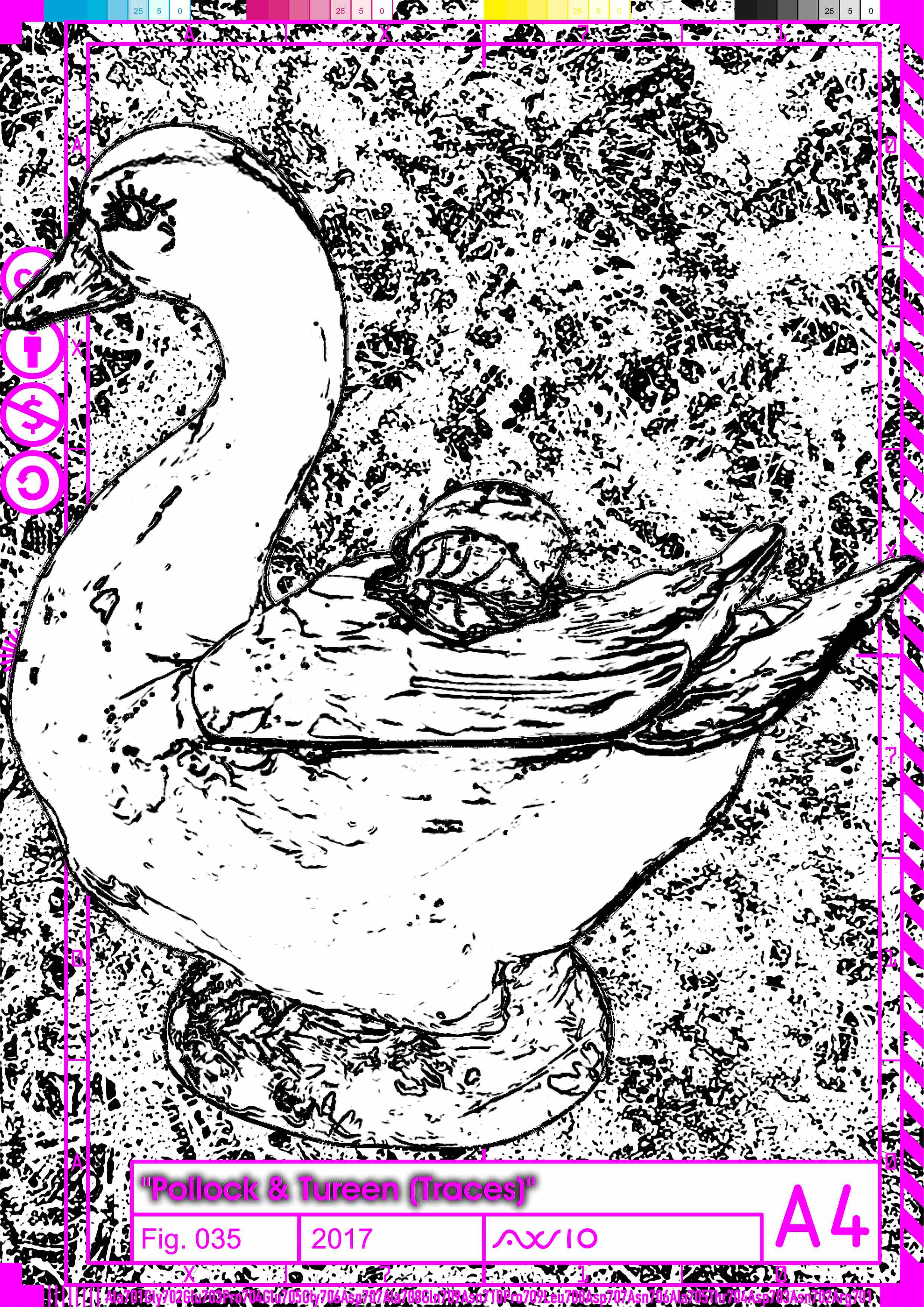 ax710_polturtrace035_2017