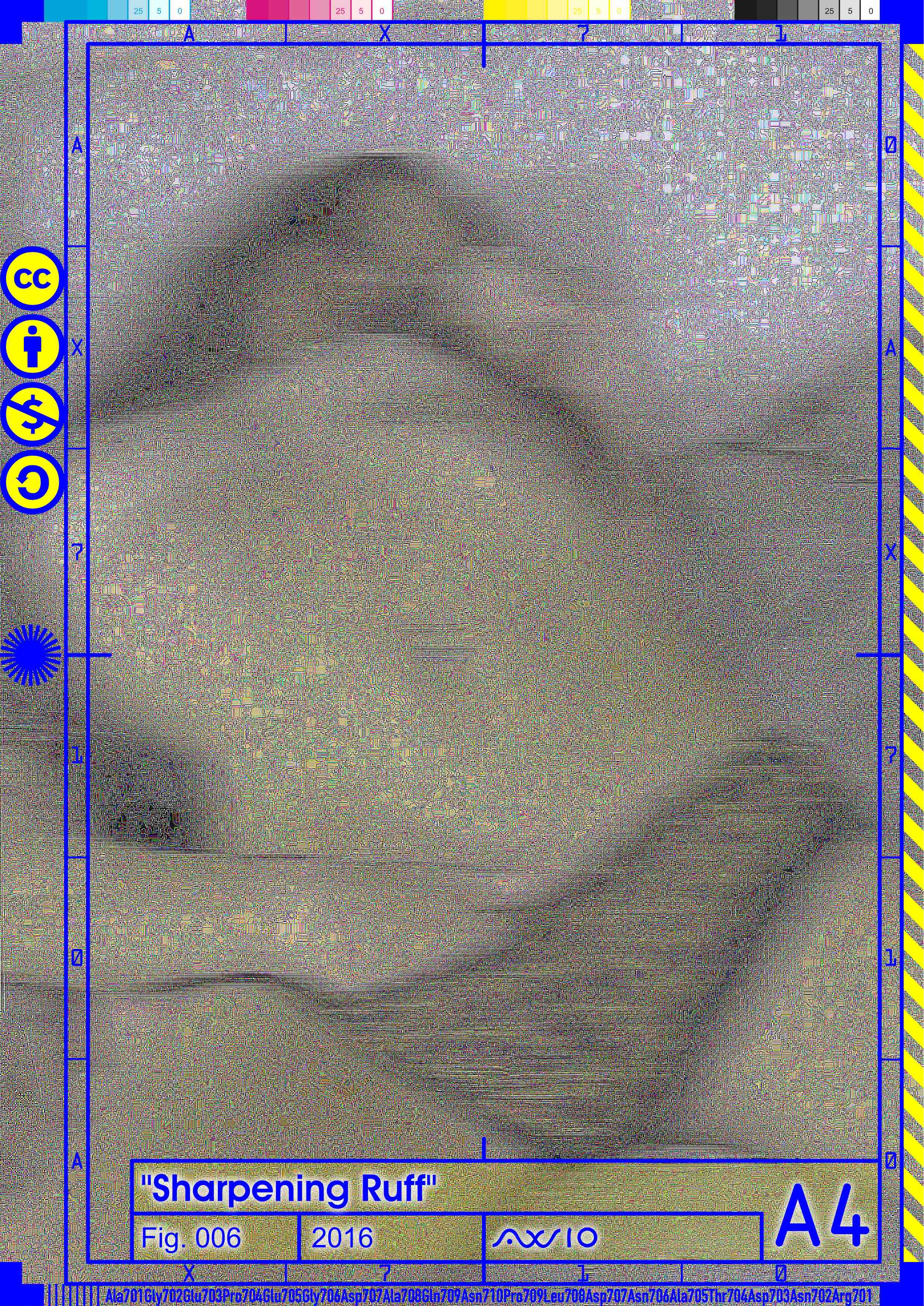 ax710_ruff006_2016