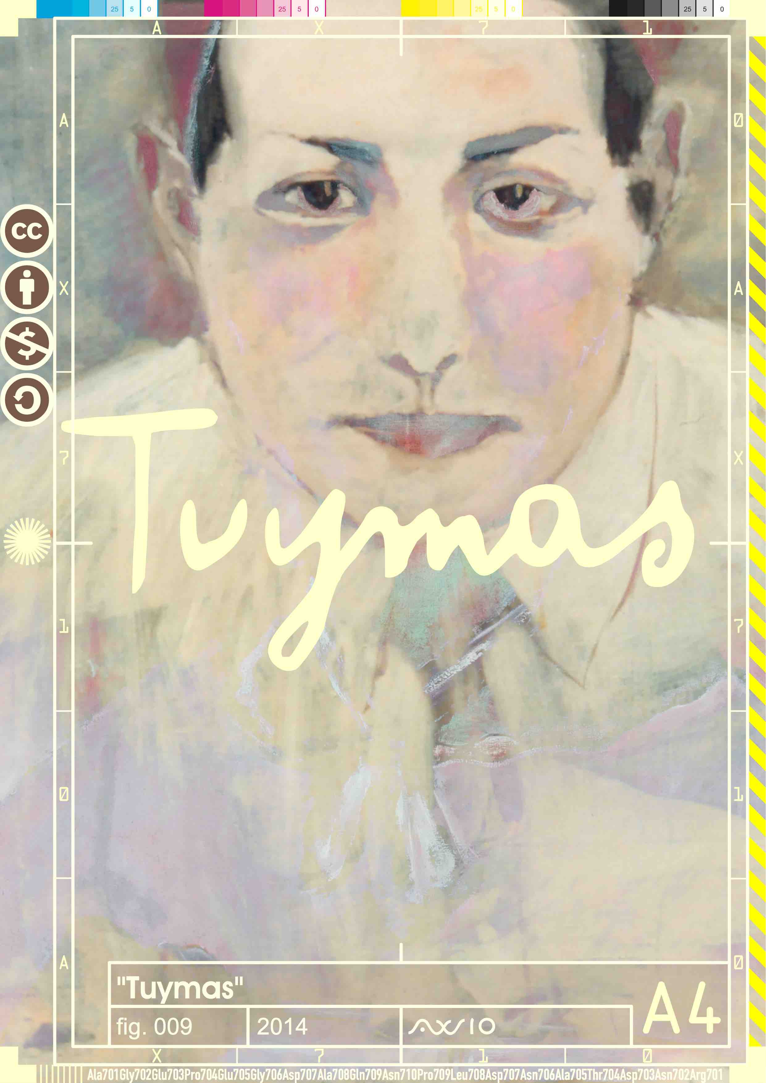 ax710_tuymas009_2014